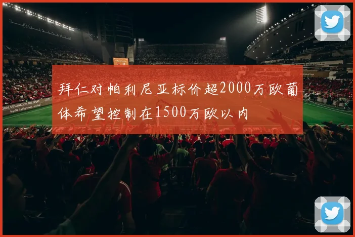 拜仁对帕利尼亚标价超2000万欧葡体希望控制在1500万欧以内
